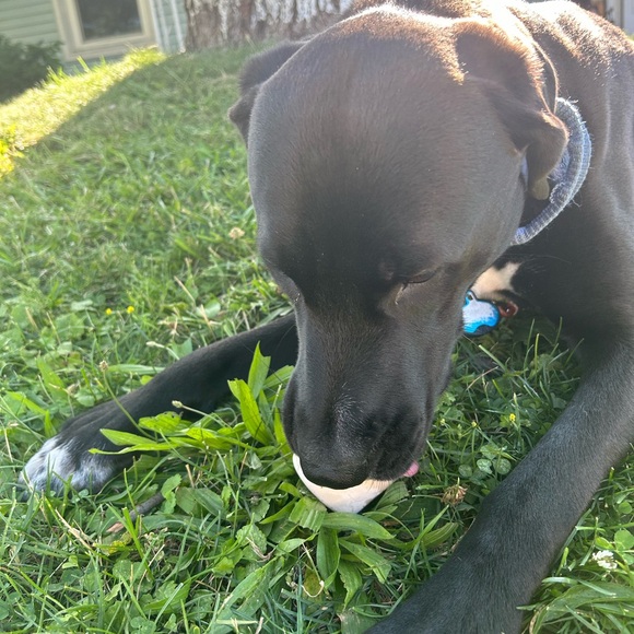 Host appreciation mystery gift/gifts! More you spend more you receive!! - Picture 12 of 16